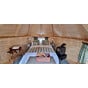 Glamping Pods UK